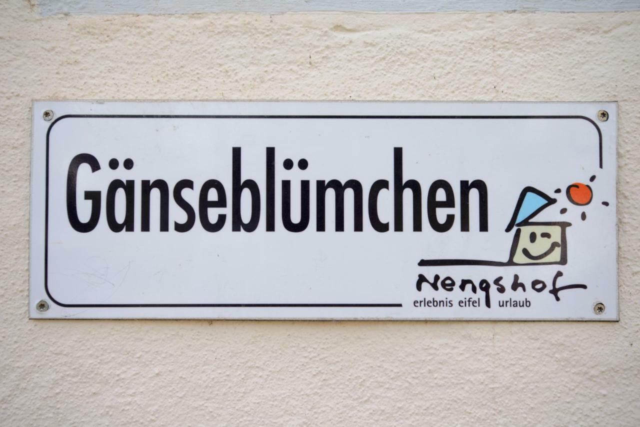 Nengshof Ferienhaus Gänseblümchen Wißmannsdorf Exterior foto